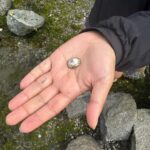 Vancouver: Stanley Park Salish Sea & Me - What Travelers Are Saying