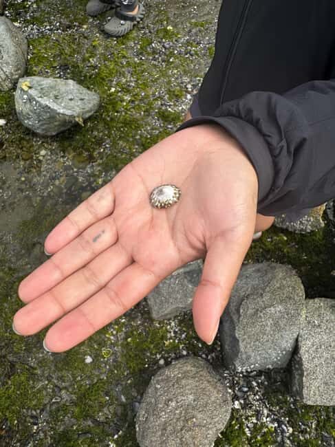 Vancouver: Stanley Park Salish Sea & Me - What Travelers Are Saying