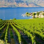 Vancouver to Kelowna Private Group Transfer up to 14 passengers - How This Service Offers Value