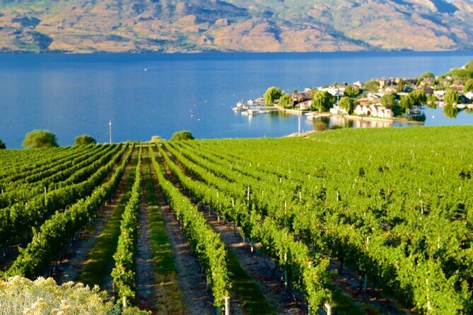 Vancouver to Kelowna Private Group Transfer up to 14 passengers - How This Service Offers Value