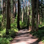 Vancouver Waterfront Guided Bike / Ebike Tour - Practical Details and Tips