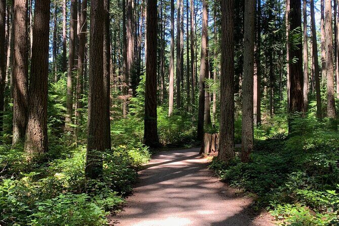 Vancouver Waterfront Guided Bike / Ebike Tour - Practical Details and Tips
