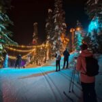 Vancouver: Whistler Olympic Park Evening Snowshoeing/Skiing - What Makes This Tour Stand Out?