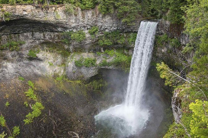 Vancouver Whistler Private Tour - Who Is This Tour Best Suited For?