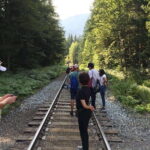 Vancouver: Whistler Sightseeing Tour with Hotel Pickup - Arriving in Whistler — A Vibrant Mountain Village