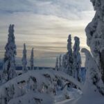Vancouver:Guided Snowshoe Adventure in North Shore Mountains - The Experience Provider: Into The Wild Cycling Tours