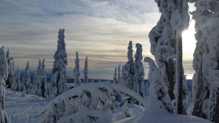Vancouver:Guided Snowshoe Adventure in North Shore Mountains - The Experience Provider: Into The Wild Cycling Tours