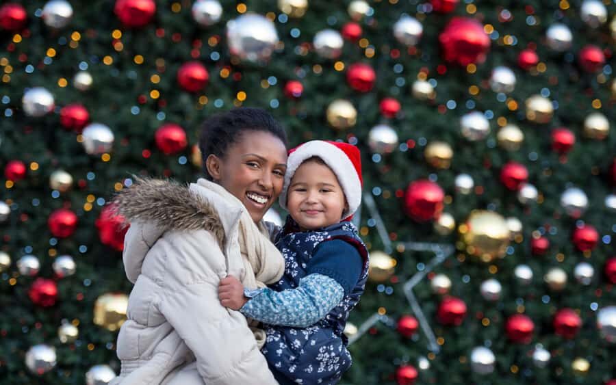 Vancouvers Festive Shore : Christmas Private Walking Tour - The Tour Overview