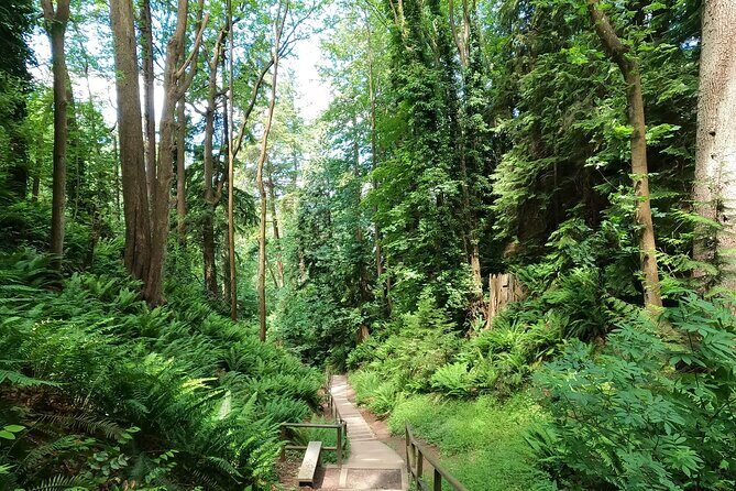Vancouver's Natural Stair Master Workout, With Beach Walk - Who Will Love This Tour?