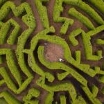 VanDusen Botanical Garden Admission Ticket - Why Visit? – A Balanced Perspective