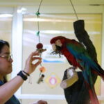 Veracruz: 5-Attraction Tour with Aquarium and Boat Tour - Practical Details and Considerations