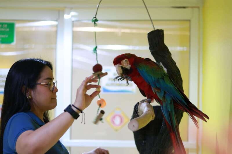 Veracruz: 5-Attraction Tour with Aquarium and Boat Tour - Practical Details and Considerations