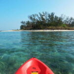 Veracruz: Isla de Sacrificios Kayaking Experience - What the Price Gets You and Its Value