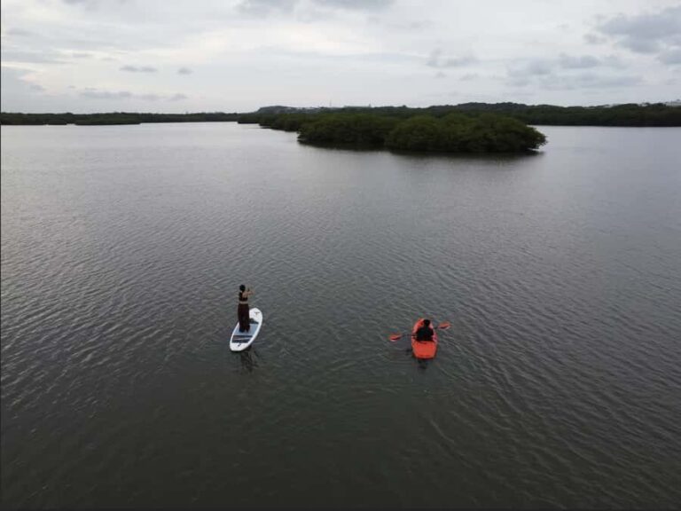 Veracruz, Kayak or Paddle equipment rentals in Mandinga - What to Expect During the Tour