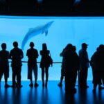 Veracruz: Panoramic Sightseeing City Tour and Attractions - Who Should Consider This Tour?