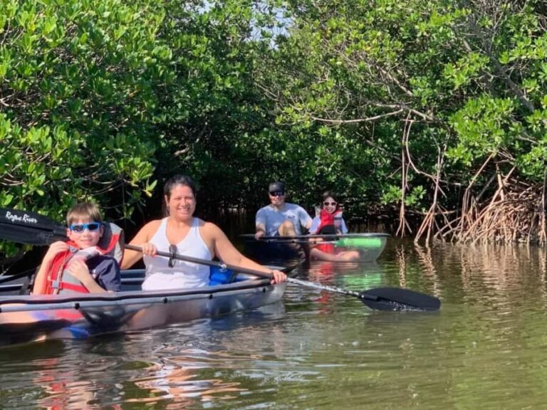 Vero Beach: Guided Clear Kayak Tours - Why This Tour is Worth Considering