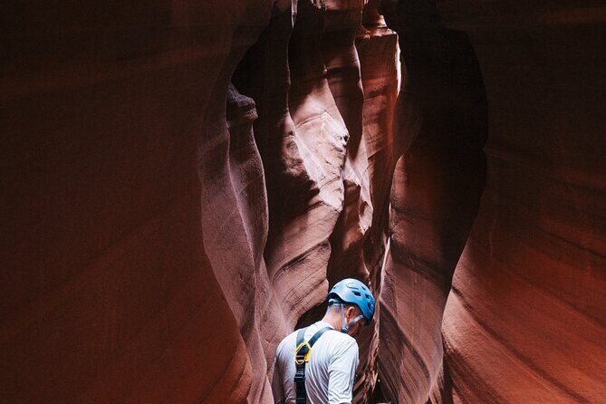 Via Ferrata Tour - In-Depth Look at the Experience