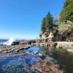 Victoria: 4-Day Tofino and Port Renfrew Tour with Flights - Whats Included and Whats Not