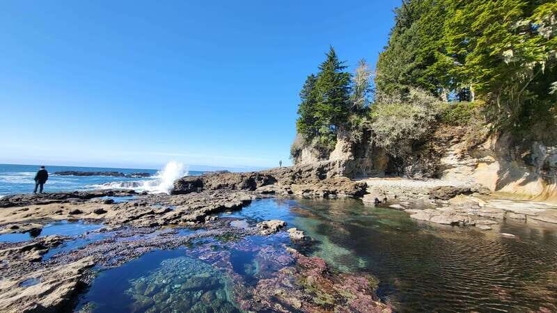 Victoria: 4-Day Tofino and Port Renfrew Tour with Flights - Whats Included and Whats Not