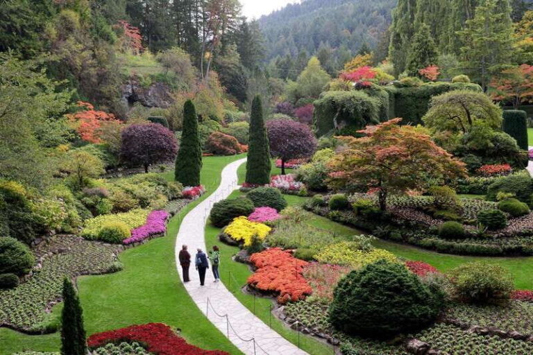 Victoria, BC: City Tour and Butchart Gardens Combo Tour - What Makes the City Tour Special?