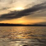 Victoria, BC: Sunset Whale Watching Tour - The Itinerary in Detail