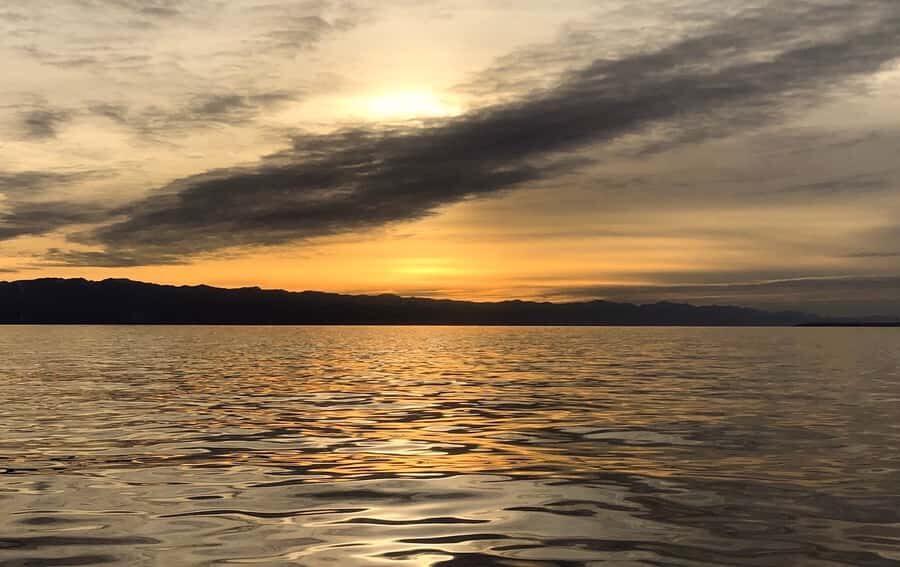 Victoria, BC: Sunset Whale Watching Tour - The Itinerary in Detail