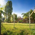 Victoria Boutique Winery Tour - The Itinerary and What You Can Expect