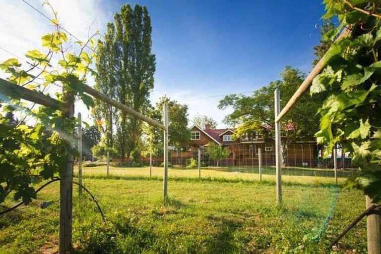 Victoria Boutique Winery Tour - The Itinerary and What You Can Expect