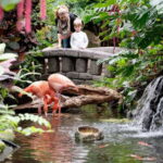 Victoria: Butterfly Gardens Admission Ticket - The Entry and Overall Atmosphere
