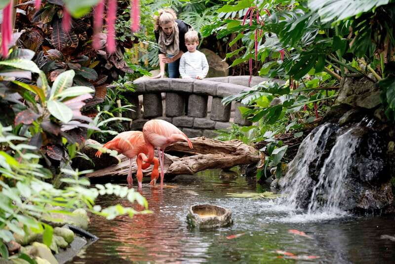 Victoria: Butterfly Gardens Admission Ticket - The Entry and Overall Atmosphere