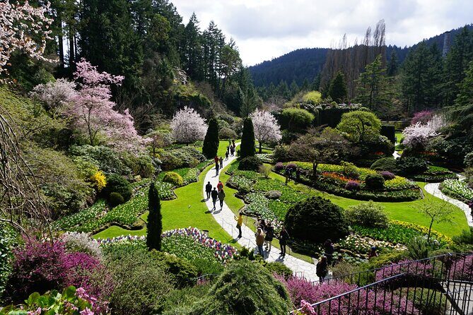 Victoria Day Trip with BC Ferries, Butchart Gardens & Downtown - Authentic Experiences and Traveler Feedback