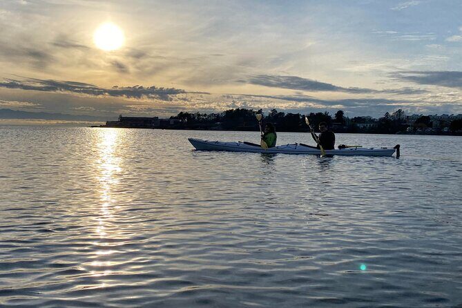 Victoria Harbour Sunset Kayak Tour - What to Expect: A Step-by-Step Breakdown