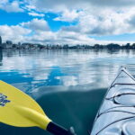 Victoria: Kayak Harbour Tour - Authentic Experiences and Real Traveler Feedback