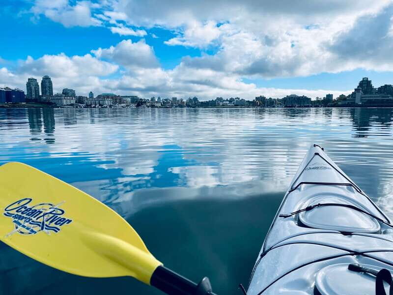 Victoria: Kayak Harbour Tour - Authentic Experiences and Real Traveler Feedback
