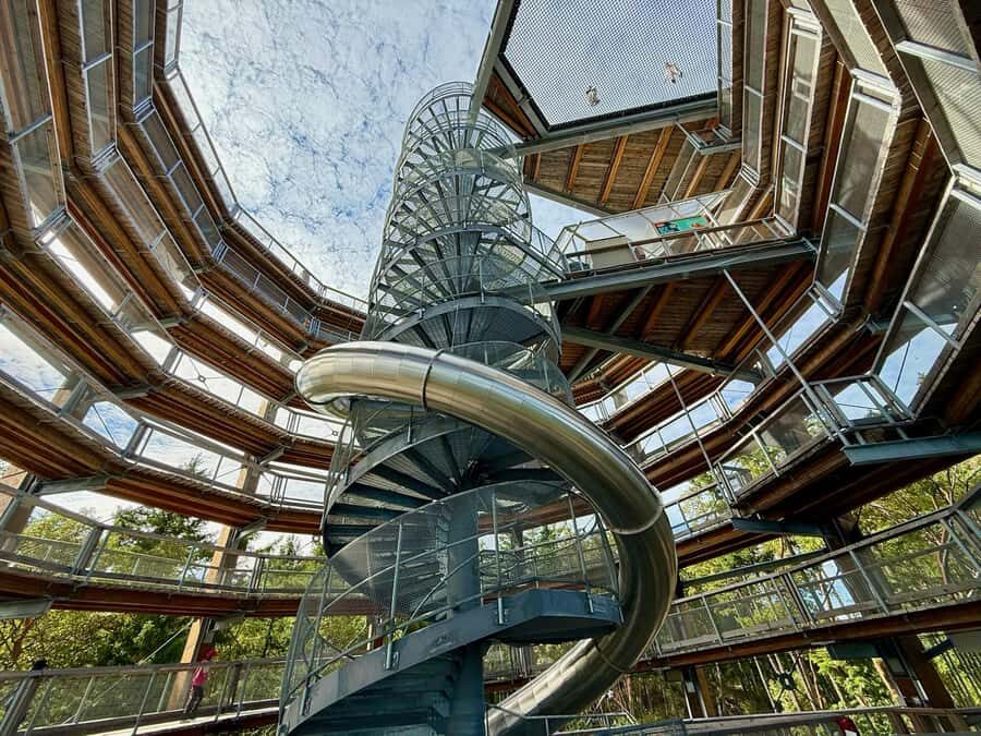 Victoria: Malahat Skywalk & Iconic Landmark Tour - Authentic Impressions from Reviewers