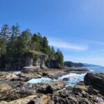 Victoria: Old Growth Rainforest Canyon Waterfall and Beaches - The Practicalities: What You’ll Get and What to Consider