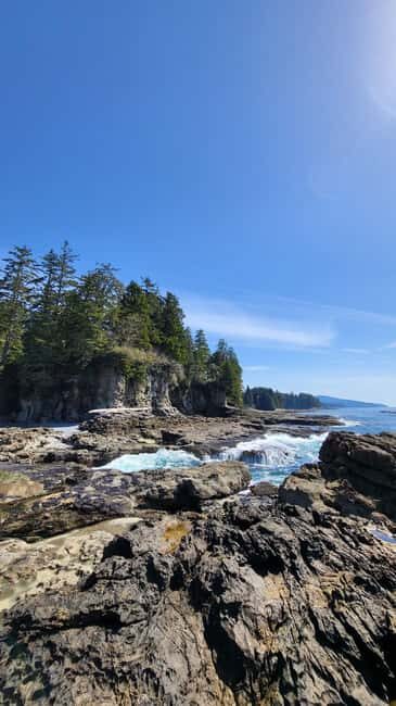 Victoria: Old Growth Rainforest Canyon Waterfall and Beaches - The Practicalities: What You’ll Get and What to Consider