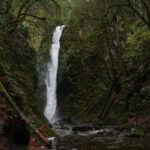 Victoria; Peninsula Butchart Garden, Aquarium and Rainforest - The Sum Up: Is It Worth It?