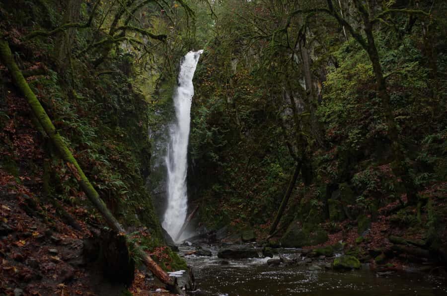 Victoria; Peninsula Butchart Garden, Aquarium and Rainforest - The Sum Up: Is It Worth It?