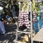 Victoria: Private Captain's Tour Southern Gulf Islands - Itinerary Breakdown: What You Can Expect