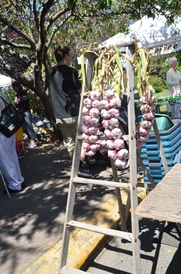 Victoria: Private Captain's Tour Southern Gulf Islands - Itinerary Breakdown: What You Can Expect