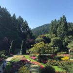 Victoria Private Tour Visiting the City and Butchart Gardens - Experience Quality and Practical Details