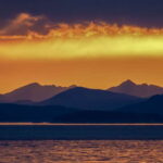 Victoria: Sunset Whale Watching Tour on an Open Scarab Boat - Who Will Love This Tour