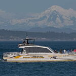Victoria: Sunset Whale Watching Tour on Semi-Covered Boat - Final Thoughts: Who Is This Tour Perfect For?