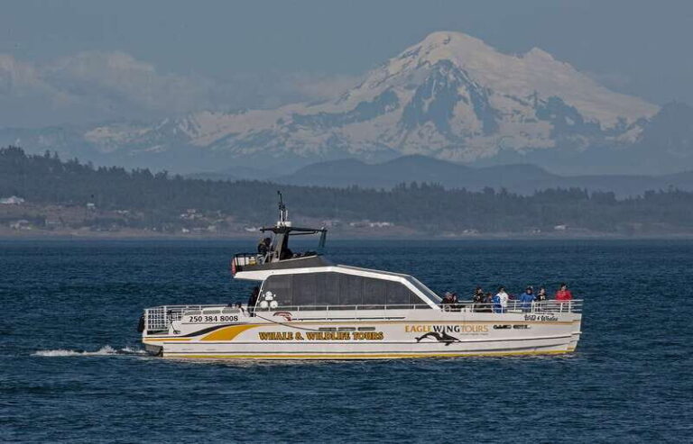 Victoria: Sunset Whale Watching Tour on Semi-Covered Boat - Final Thoughts: Who Is This Tour Perfect For?