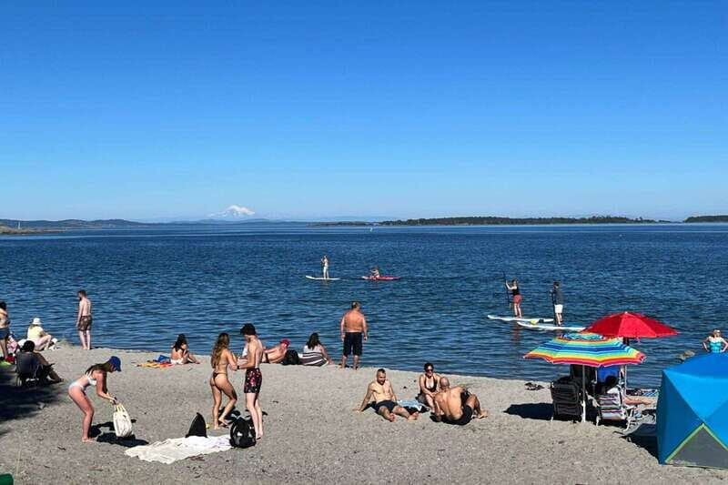 Victoria: Upper Gorge Waterway Paddle Boarding Tour - Who Will Love This Tour?