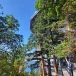 Victoria Waterfall, Skywalk, Beach Picnic, Castle and Whales - What to Expect: The Day Unfolded