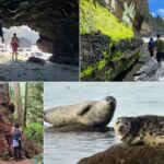 Victoria West Coast Wildlife, Old Growth and Waterfalls - The Itinerary in Detail