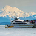 Victoria: Whale and Wildlife Semi-Covered Boating Tour - The Itinerary: A Closer Look