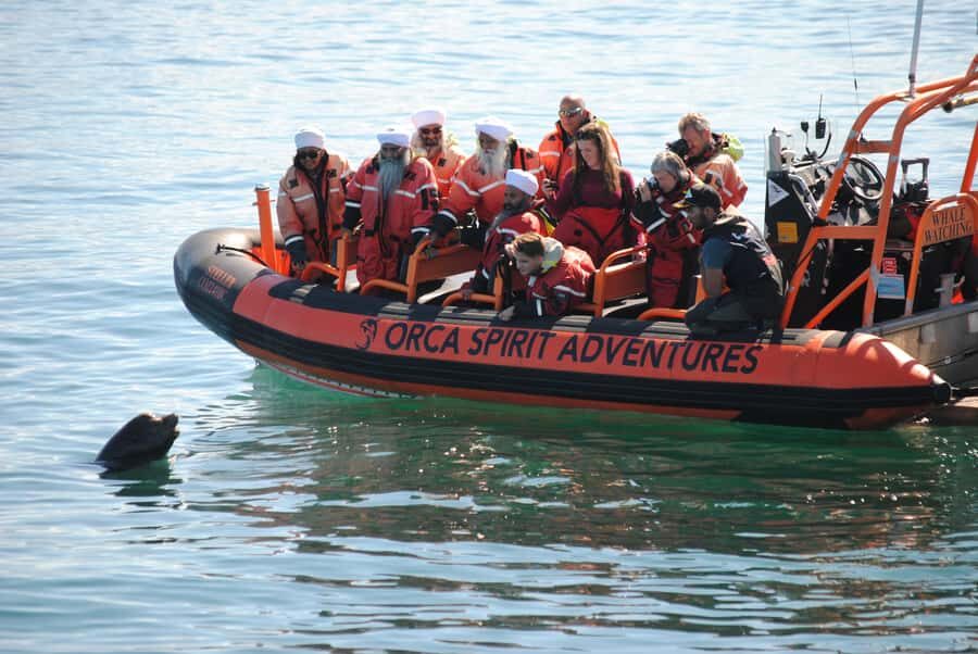 Victoria: Whale Watching Marine Wildlife Excursion Zodiac - Who Will Love This Tour?